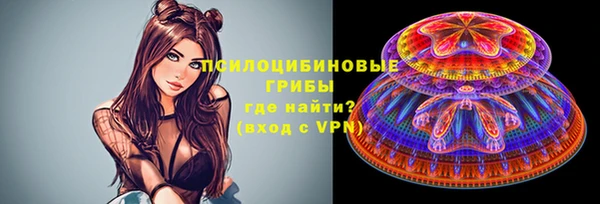 ГАЛЛЮЦИНОГЕННЫЕ ГРИБЫ Липки
