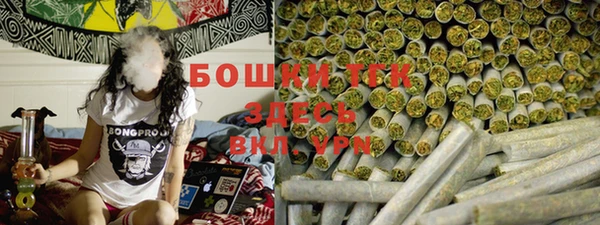 ГАЛЛЮЦИНОГЕННЫЕ ГРИБЫ Липки