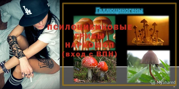 гидра Лихославль