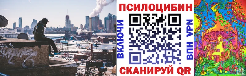 Галлюциногенные грибы Psilocybe  даркнет сайт  Новозыбков 