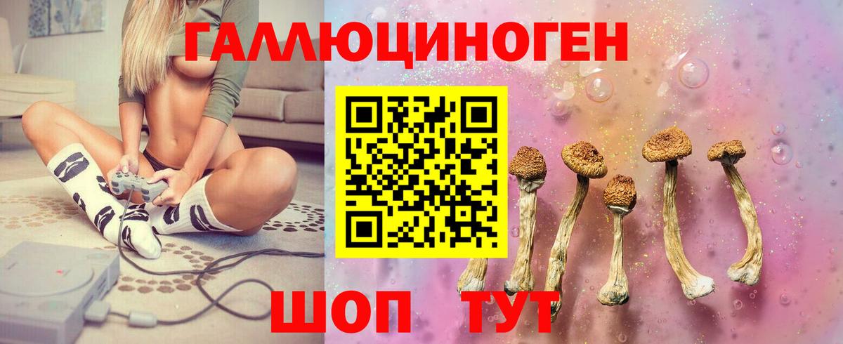 Новозыбков  Псилоцибиновые грибы Magic Shrooms  где продают наркотики  Вход с VPN 