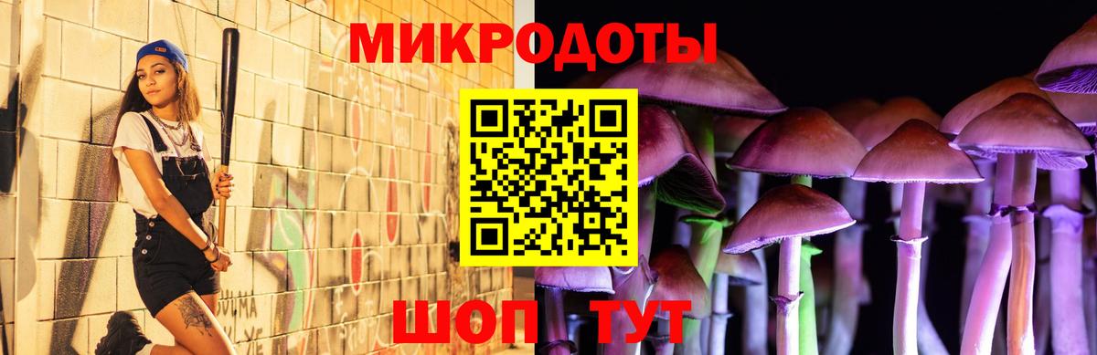 Псилоцибиновые грибы ЛСД Новозыбков