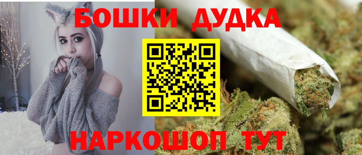 Новозыбков  Бошки Шишки тримм  Бошки Шишки семена  Вход с VPN  Бошки Шишки планчик 
